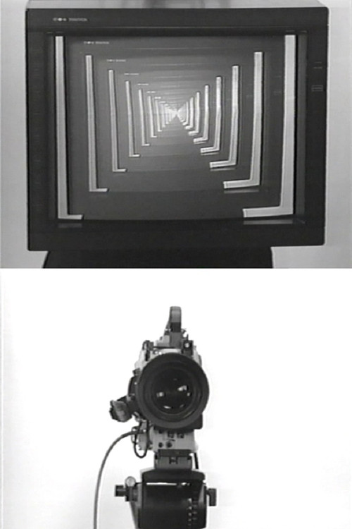 Movie poster for Observer / Observed (1975)