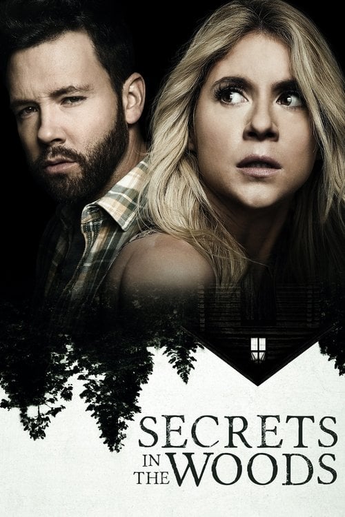 Movie poster for Secrets in the Woods (2020)