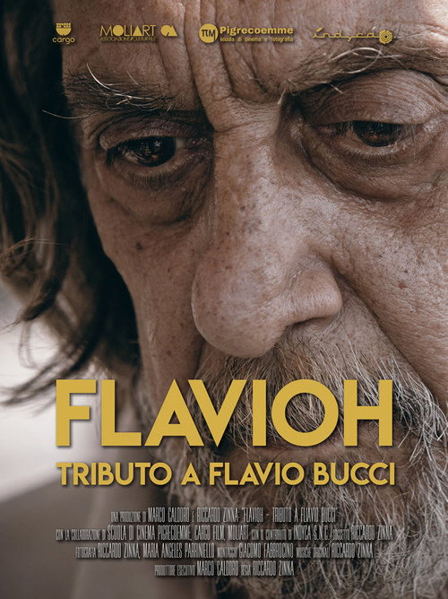 Movie poster for Flavioh - Tributo a Flavio Bucci (2018)