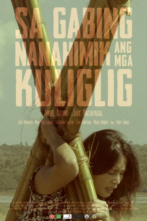 Movie poster for Sa Gabing Nanahimik Ang Mga Kuliglig (2017)