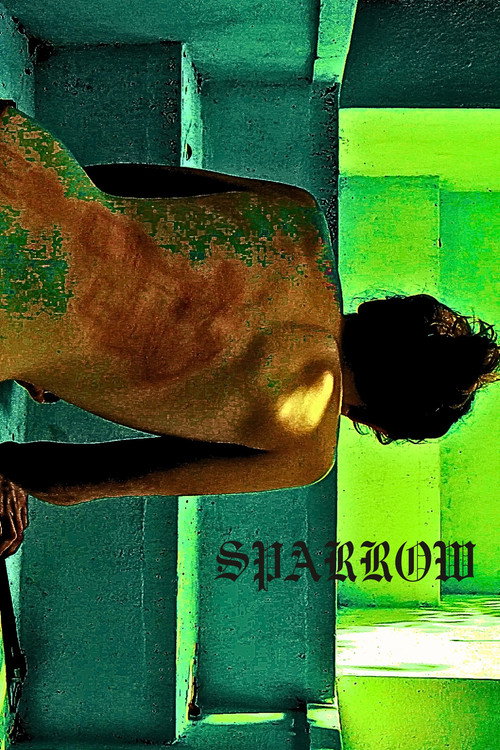 Movie poster for Sparrow