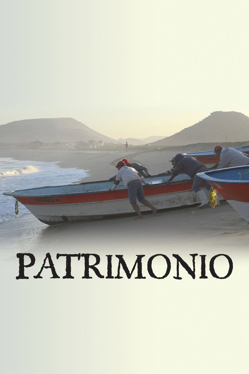 Movie poster for Patrimonio (2018)