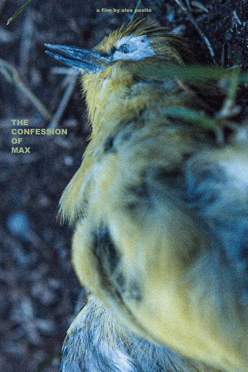 Movie poster for The Confession of Max (2020)