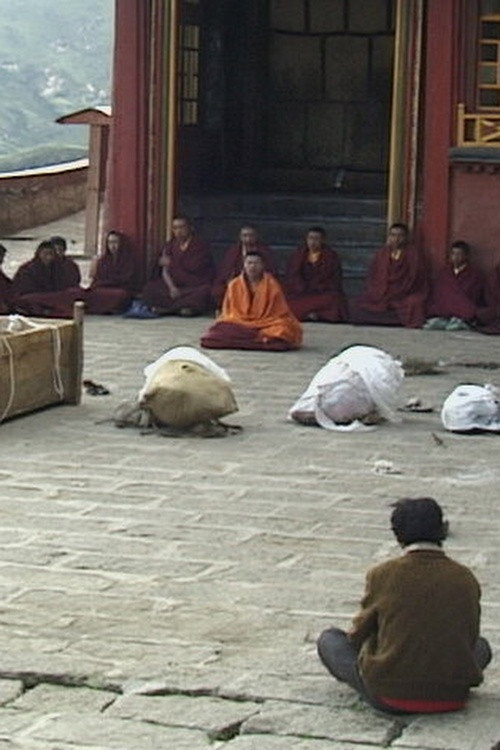 Movie poster for Sky Burial: A Tibetan Death Ritual (2005)