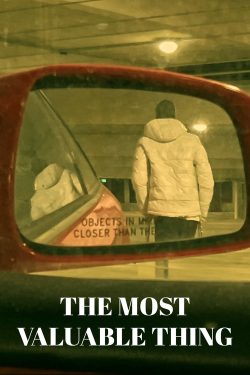 Movie poster for The Most Valuable Thing (2025)