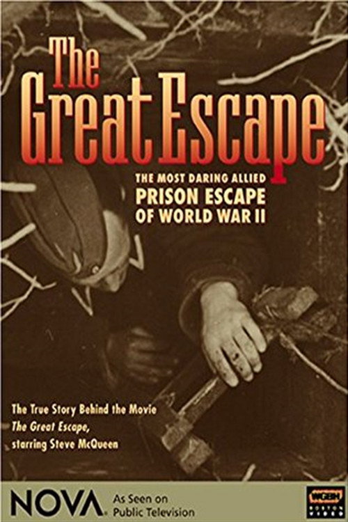 Movie poster for Great Escape (2004)