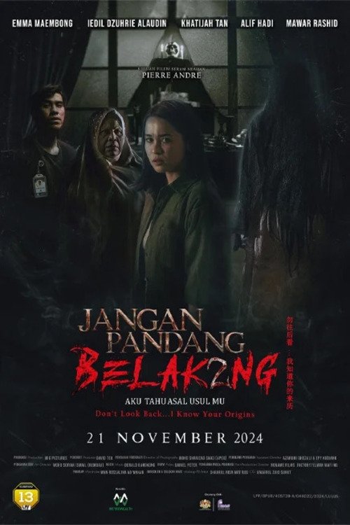 Movie poster for Don't Look Back... I Know Your Origins (2024)