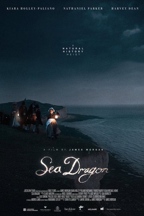 Movie poster for Sea Dragon (2020)