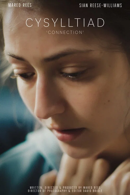 Movie poster for Connection (2021)