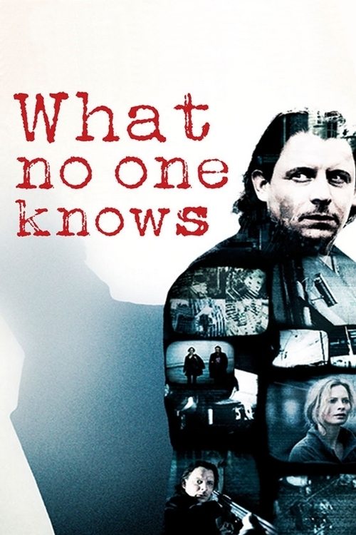 Movie poster for What No One Knows (2008)