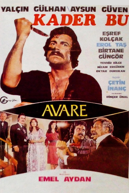 Movie poster for Kader Bu (1976)