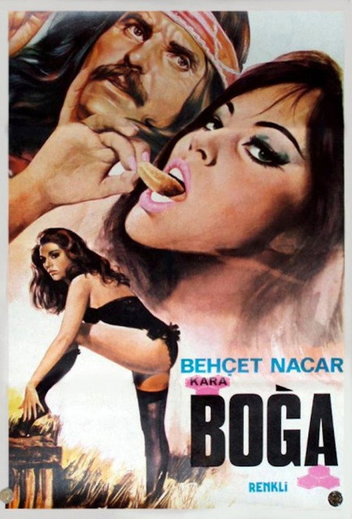 Movie poster for The Black Bull (1974)
