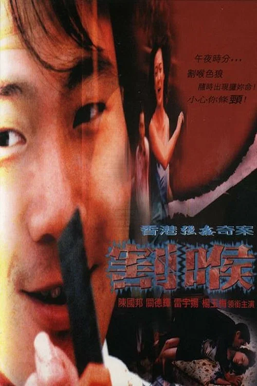Movie poster for The Rape (2001)