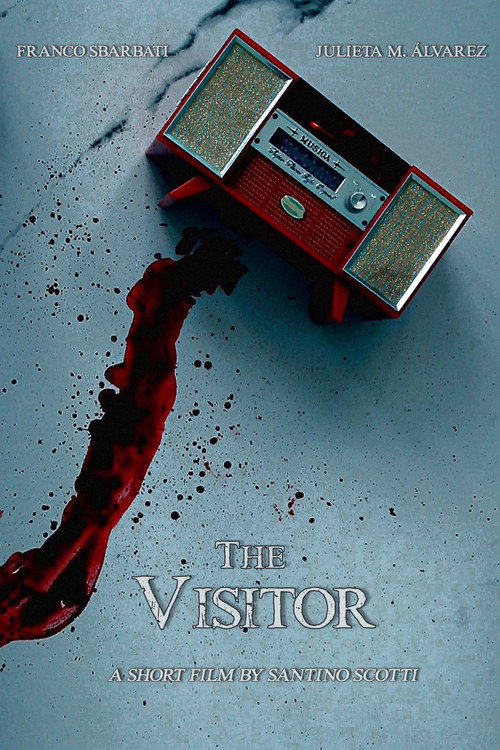 Movie poster for The Visitor (2022)
