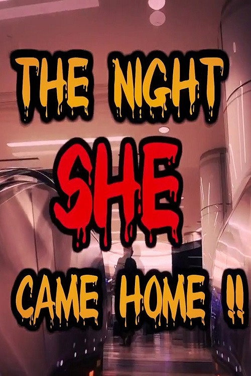 Movie poster for The Night She Came Home!! (2013)