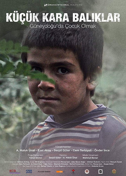 Movie poster for Little Black Fishes (2014)