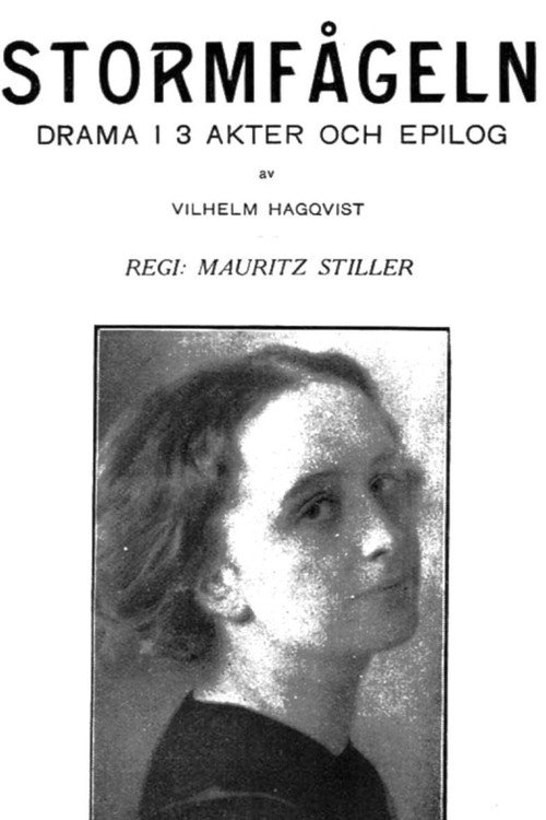 Movie poster for The Stormbird (1914)