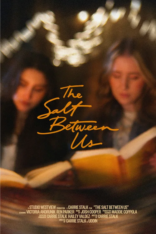 Movie poster for The Salt Between Us