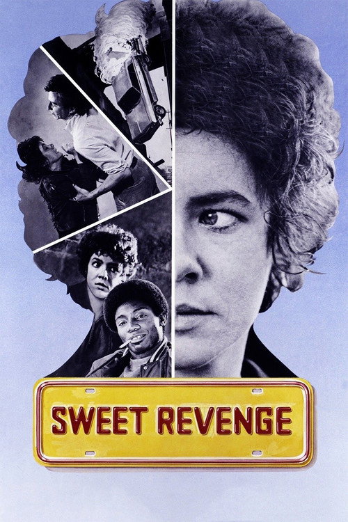 Movie poster for Sweet Revenge (1976)