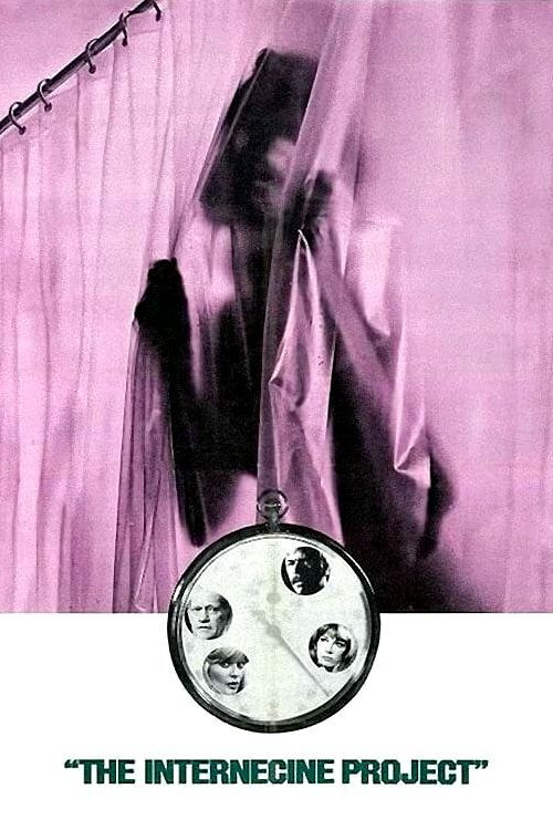 Movie poster for The Internecine Project (1974)