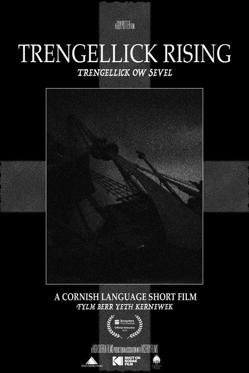 Movie poster for Trengellick Rising (2024)