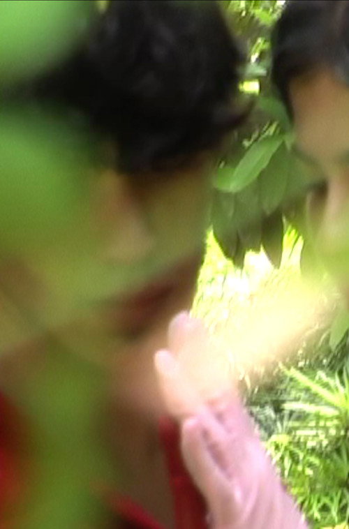 Movie poster for Butterfly Woman