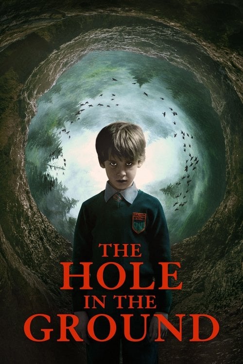 Movie poster for The Hole in the Ground (2019)