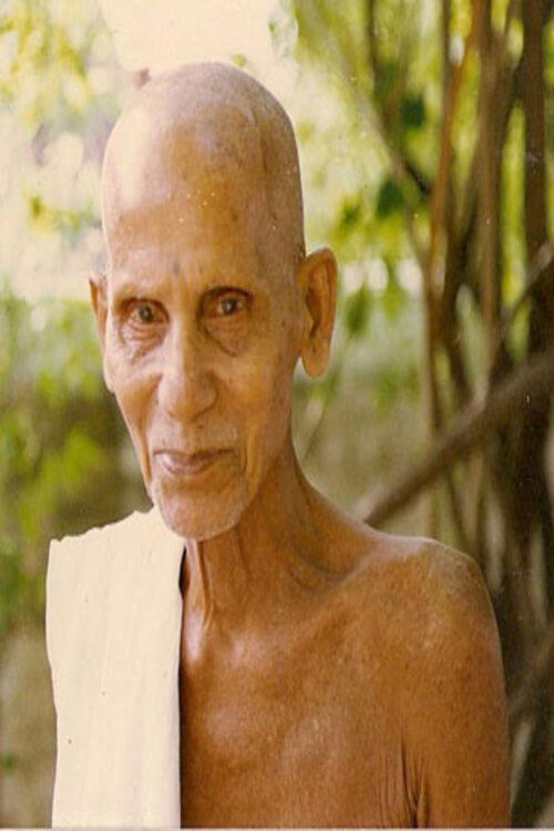 Movie poster for An Interview with Annamalai Swami by Jim Lemkin (1993)