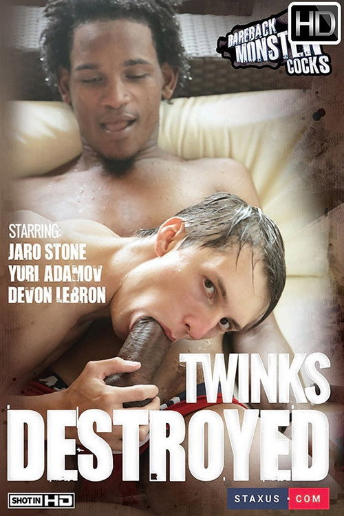 Movie poster for Twinks Destroyed (2014)