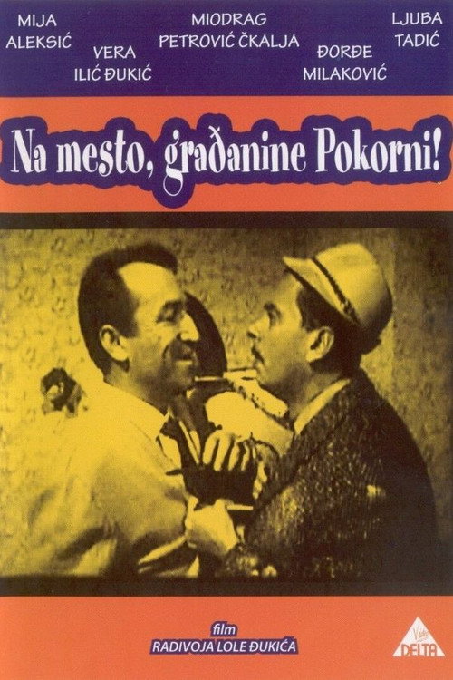 Movie poster for Citizen Pokorni (1964)