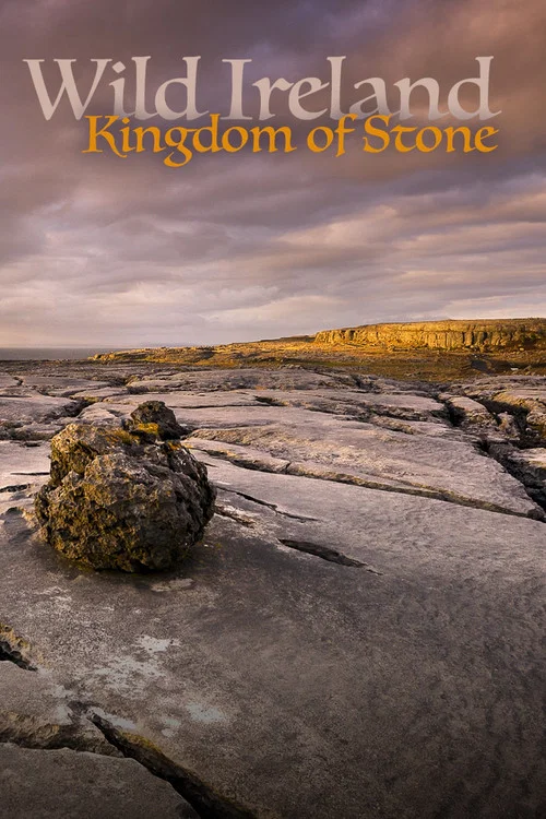 Movie poster for Wild Ireland: Kingdom of Stone (2024)