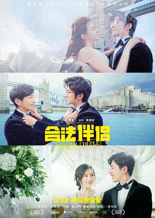 Movie poster for Special Couple (2019)