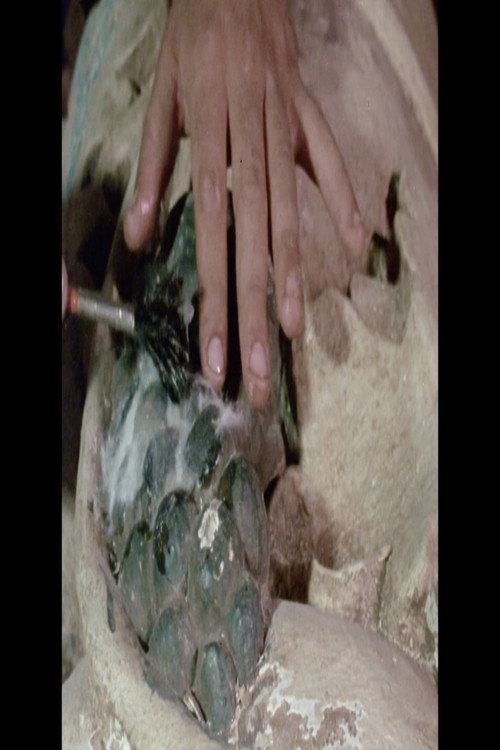 Movie poster for Dos Reis Magos dos Tupiniquins (1985)