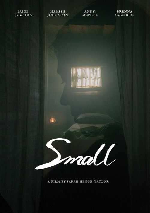 Movie poster for Small (2024)