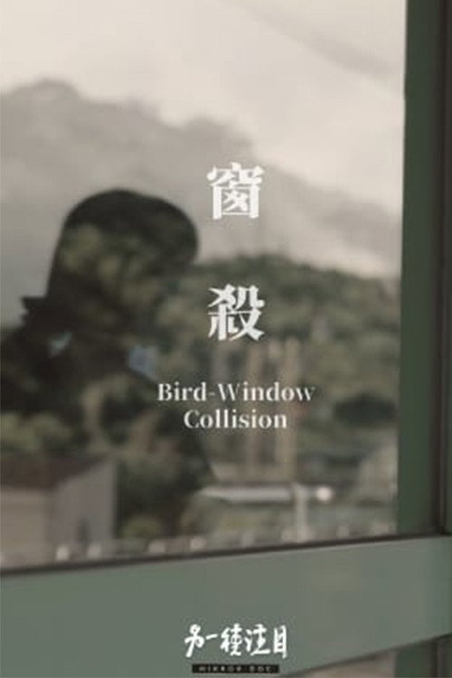 Movie poster for Bird-Window Collisions (2023)