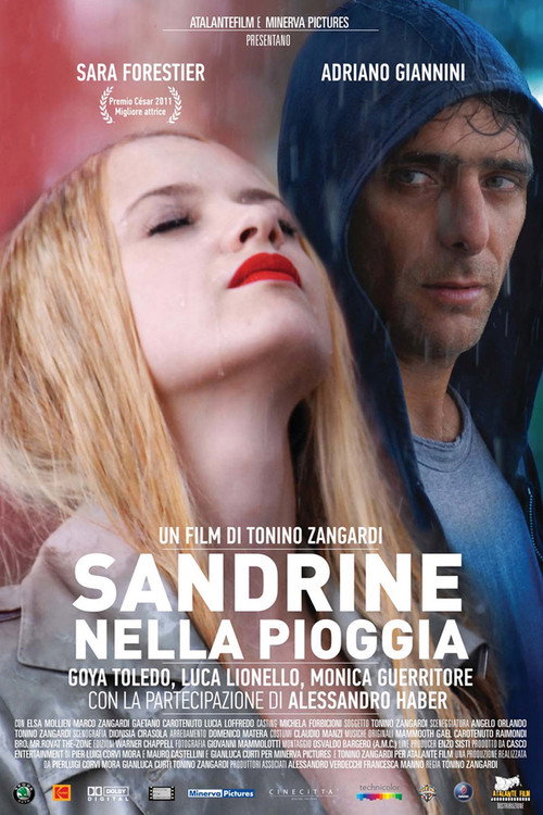 Movie poster for Sandrine in the Rain (2008)