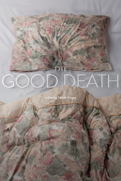 Movie poster for The Good Death (2018)
