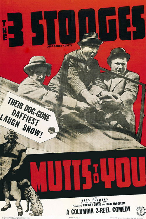 Movie poster for Mutts to You (1938)