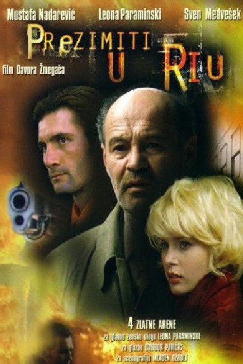 Movie poster for Winter in Rio (2002)
