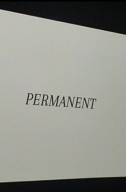 Movie poster for Permanent (2025)