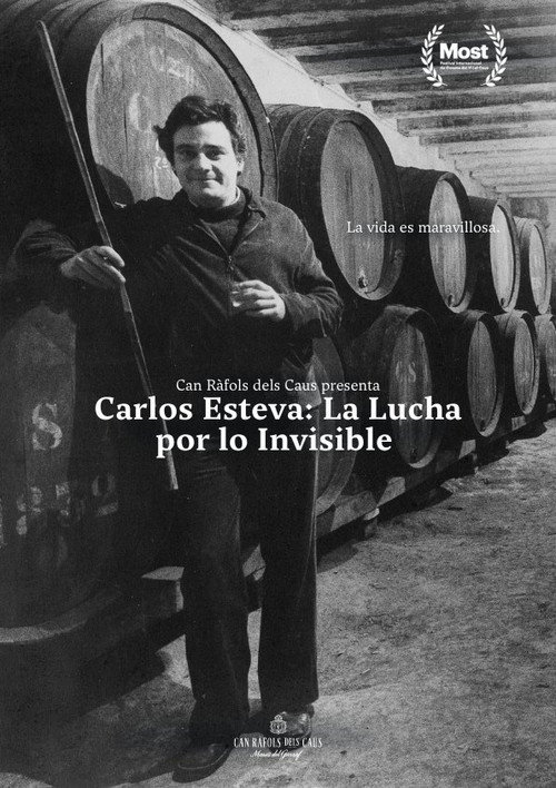 Movie poster for Carlos Esteva: the fight for the invisible (2024)