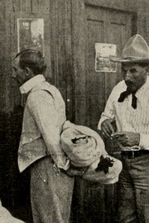 Movie poster for A Montana Mix-Up (1913)