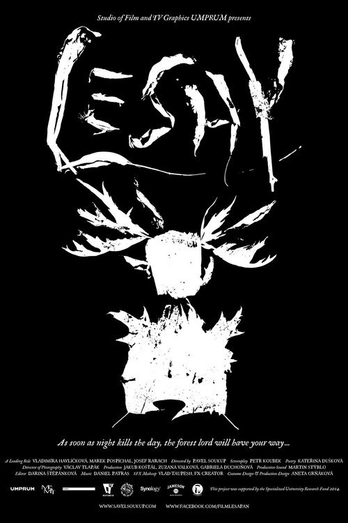 Movie poster for Leshy (2016)