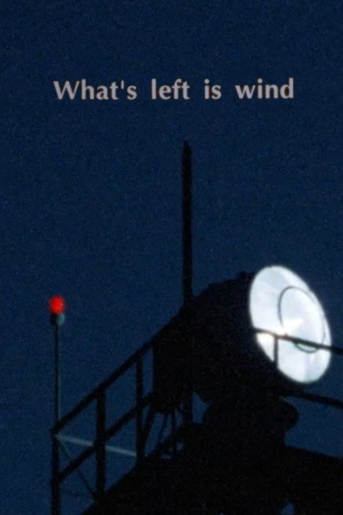 Movie poster for What's Left is Wind (1988)