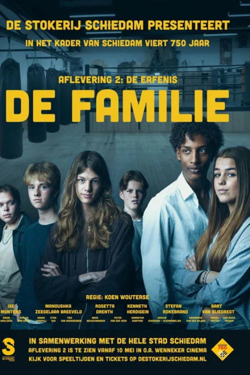 Movie poster for The Family: The Inheritance (2025)