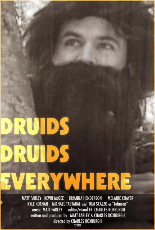 Movie poster for Druids Druids Everywhere (2004)