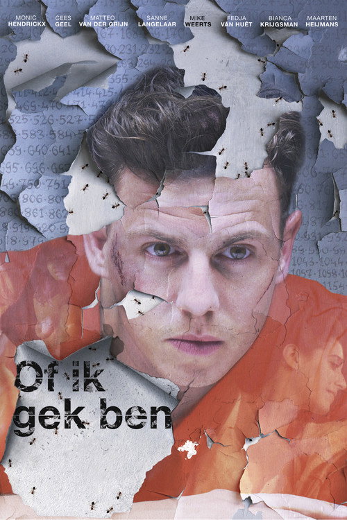 Movie poster for As If I'm Crazy (2016)
