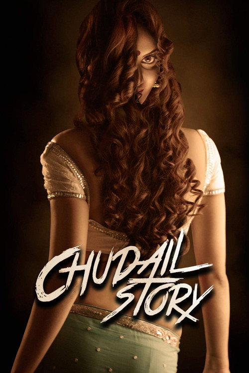 Movie poster for Chudail Story (2016)