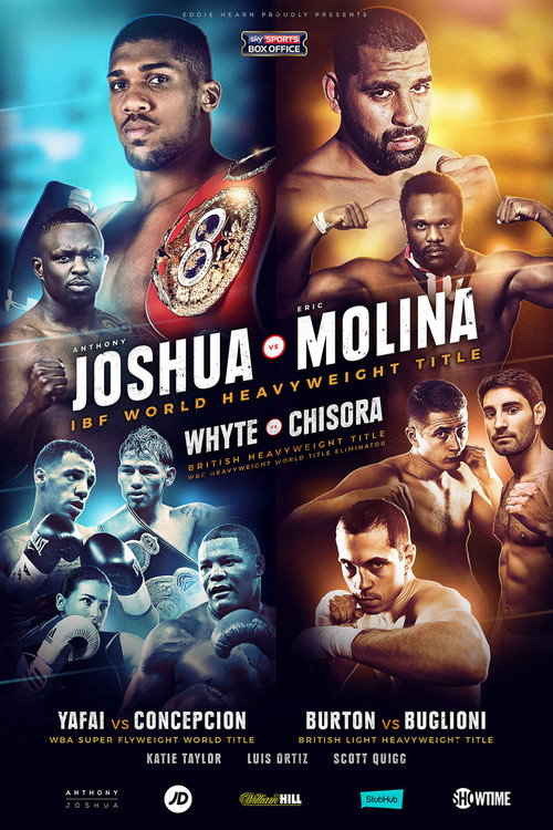 Movie poster for Anthony Joshua vs. Eric Molina (2016)