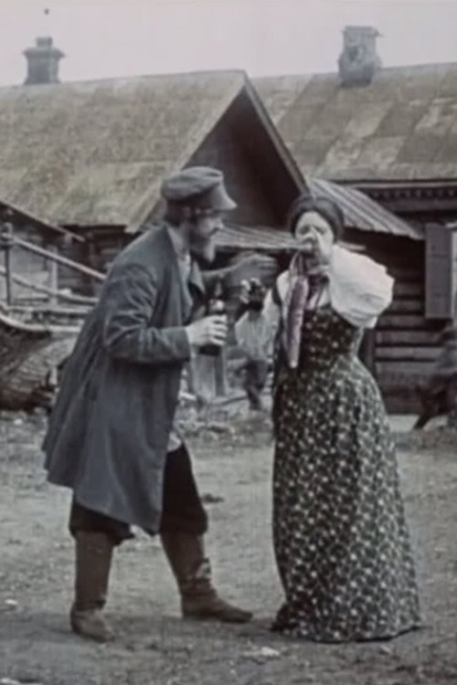 Movie poster for The Dashing Merchant (1909)